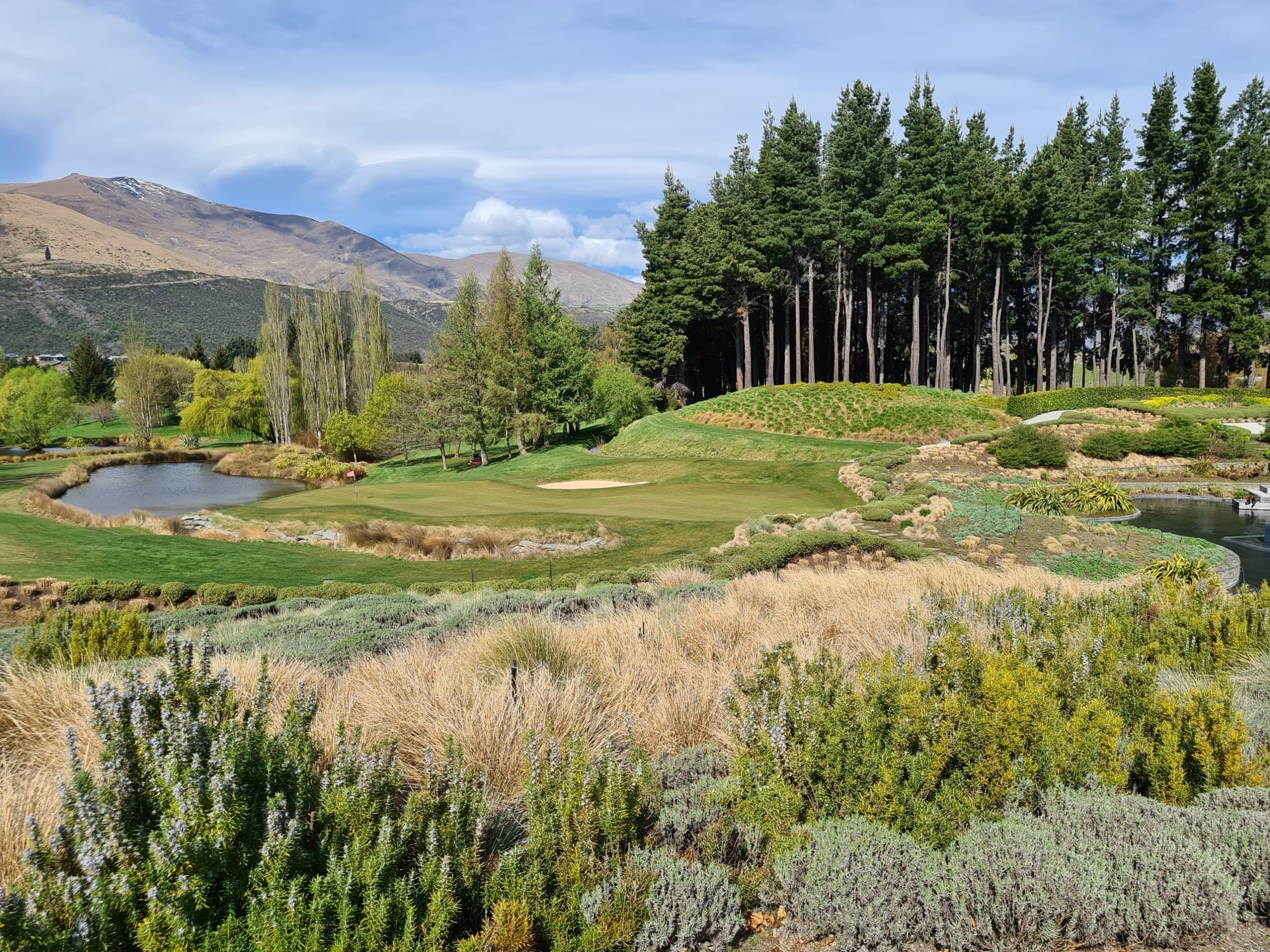 A Diva-built garden with a pond and tussock planting on a Whakatipu estate