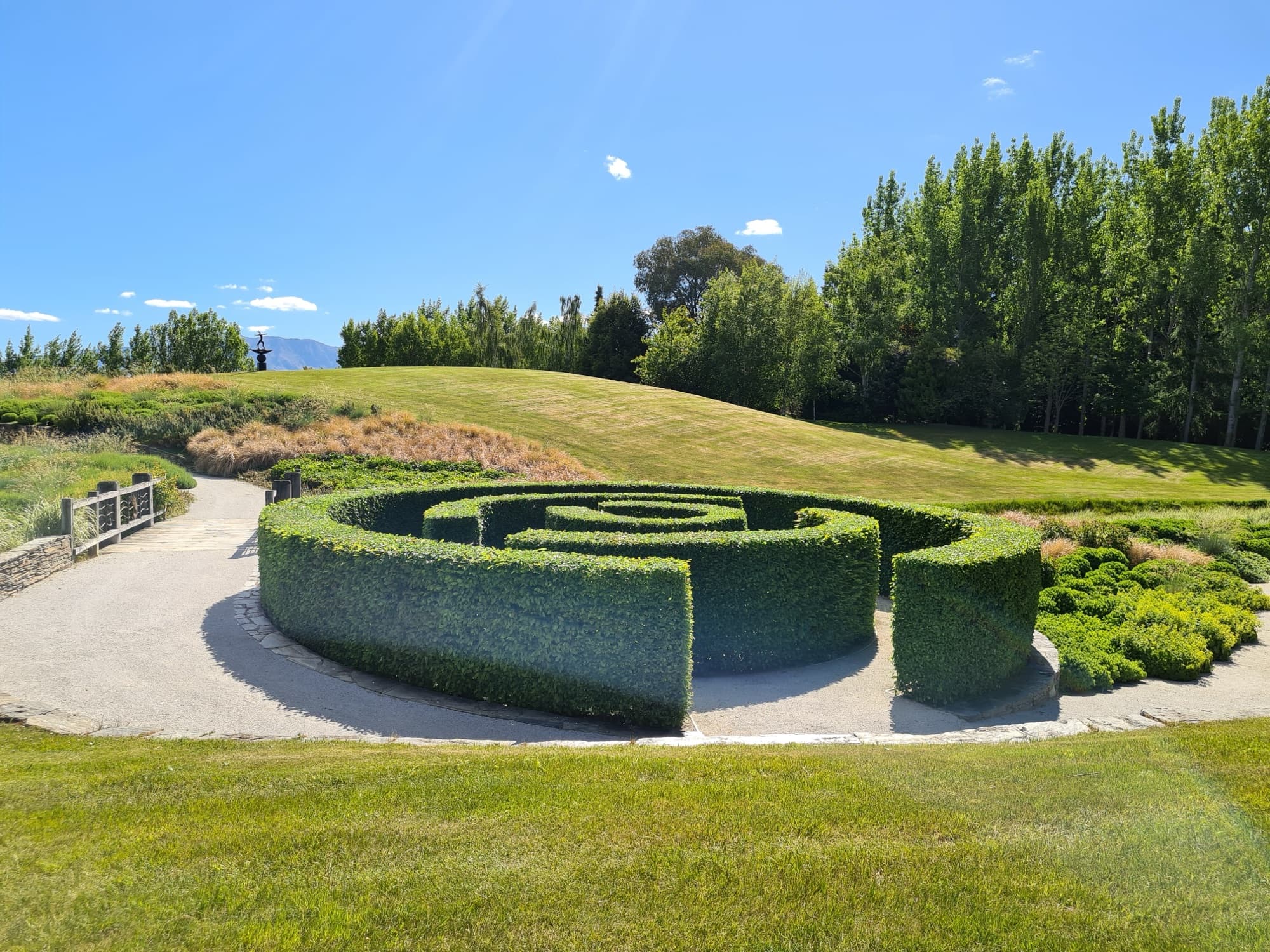 A sculpted spiral hedge feature in a renovated Diva garden