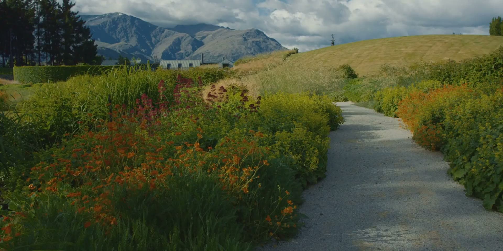 A Diva perennial garden and path with the Whakatipu mountains beyond